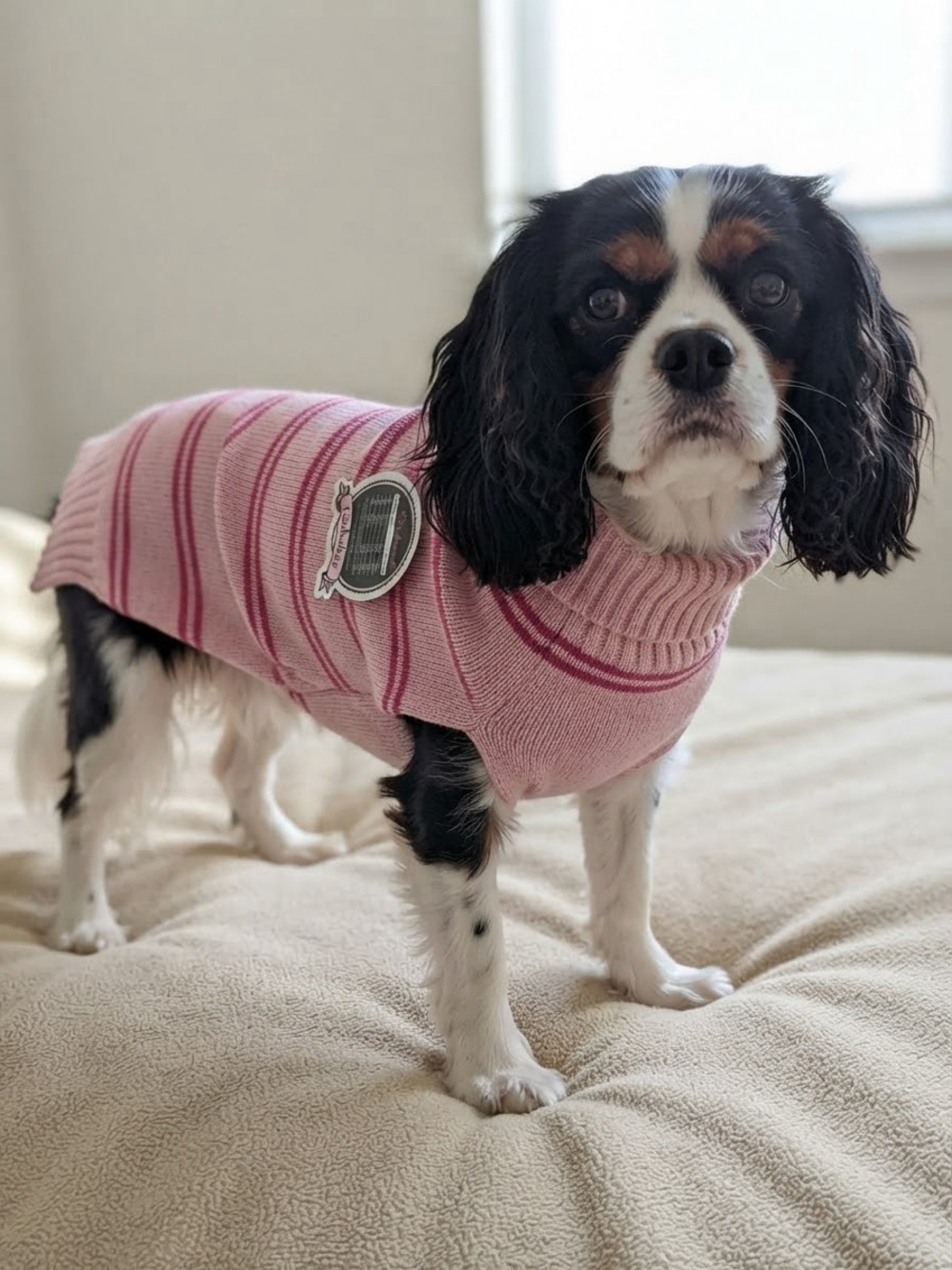 Furbulous Pink Striped Dog Jumper Knit Pet Sweater High Neck Turtleneck Size M